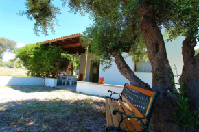 Villetta indipendente 250m dal mare Rif. 449